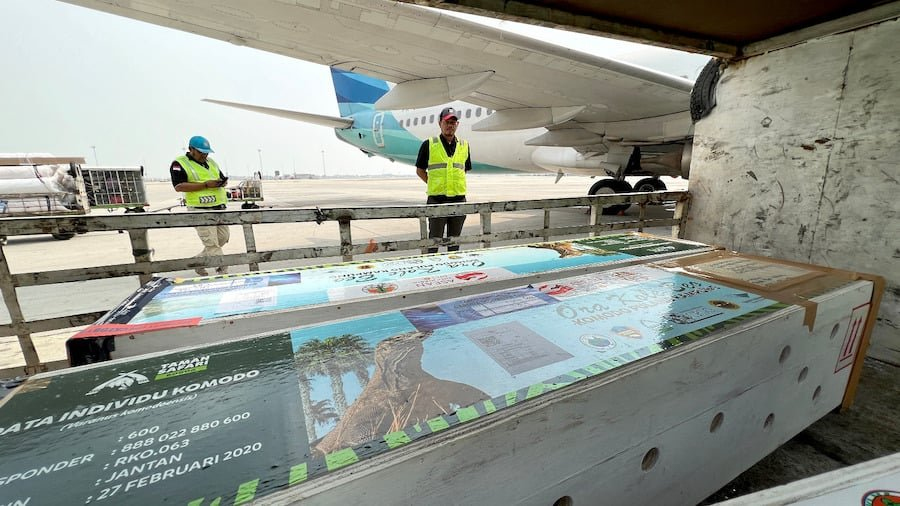 Garuda Indonesia Perluas Pangsa Pasar Kargo Internasional dengan Traffic Tumbuh 40,6% pada Kuartal&nbsp;I/2024